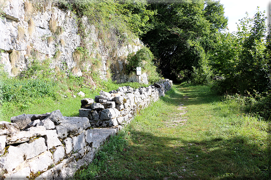 foto Gallerie del Col Campeggia